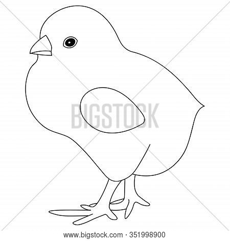 Vector Illustration Of A Plump Chicken. Outline On An Isolated Background. Coloring Book For Childre