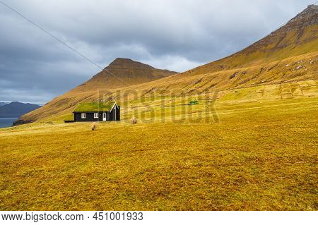 Traditional Faroese Turf Rooftop House On Streymoy Island. Sheep Are Grazing In The Meadow. Gjogv, F