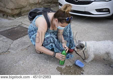 Woman Giving Her Dog Water To Drink In The Street.
