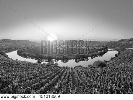 Scenic Moselle River Loop At Leiwen, Trittenheim In Germany