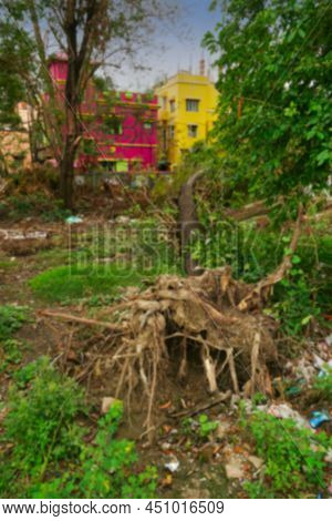 Blurred Image Of Super Cyclone Amphan Uprooted Trees Which Fell On A Field. The Devastation Has Made