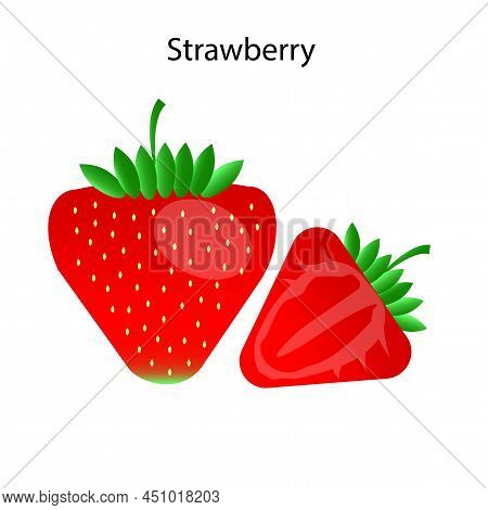 Realistic Strawberries. Fresh Healthy Food. Vector Illustration. Stock Image.