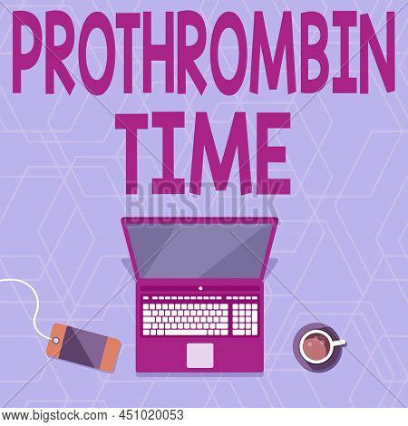 Text Sign Showing Prothrombin Time. Word Written On Evaluate Your Ability To Appropriately Form Bloo