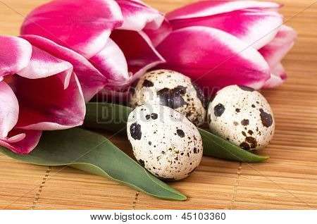 Ovos de Páscoa com tulipas rosa bouquet