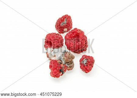 Several Mouldy Raspberries. Rotten And Uneatable. Isolated On White Background.
