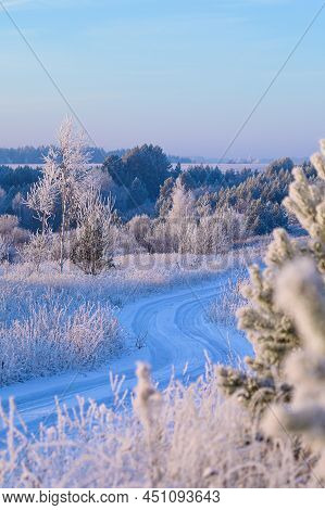 Road To The Snowy Forest Outdoor Frost