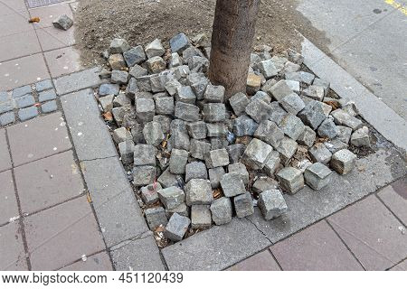 Bunch Of Old Cobblestones Bricks Arround Tree