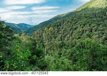 Beautiful View On The Hills And Rainforest Surrounding San Gerardo De Dota, Beautiful Costa Rica Wil