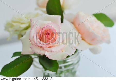 Rose, Roses Or Flowers In A Vase