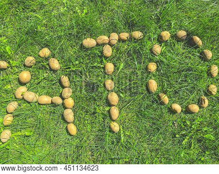 Peeled Potatoes Lie On The Grass. Letter A, T And O From Cartovel, Edible Letters On The Lawn. Sylla