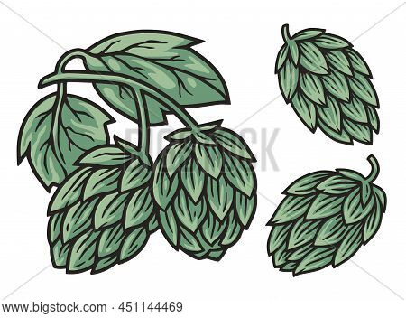 Beer Hop For Craft Design Of Print. Original Set Of Hops For Beer Bar, Pab Or Brewery