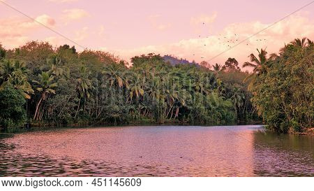 Beautiful Landscape View From River Above Thiruparappu Falls. Amazing Natural Background With Colour