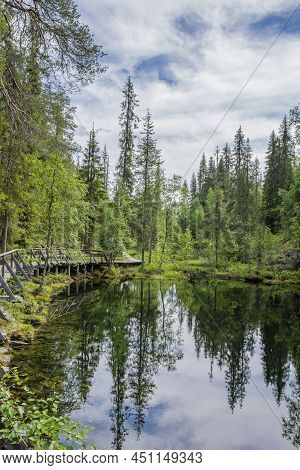 View Of The Pyha-luosto National Park In Summer, Trees, Wooden Walkway And Natural Pond, Lapland, Fi