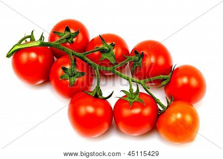 tomaatti