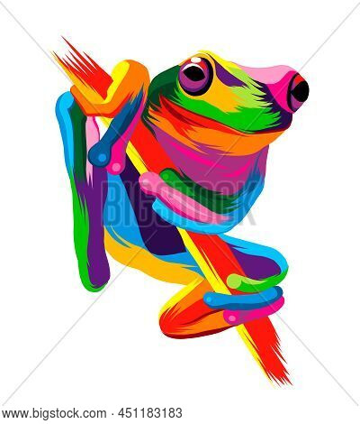 Abstract Tree Frog From Multicolored Paints. Colored Drawing