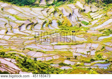 Beautiful Rice Terraces Fields In Sagada, Philippines