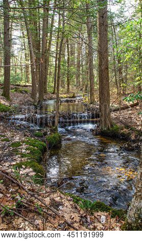 An Small Brook Runs Through Willard Brook State Forest In Ashby Massachusetts