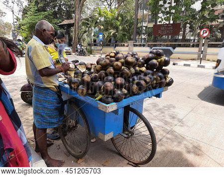 Closeup Of Indian Man Selling Thati Munjalu Or Ice Apple Bunch In A Cart On Roadside During Summer S