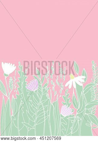 Pre Made Template With Meadow Flower. Summer Concept.