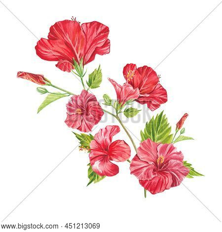 A Red Hibiscus Flower Highlighted On A White Background. Watercolor Tropical Flower Realistic Colorf