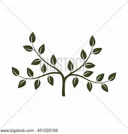 Green Tree Icon. Eco, Botanical And Plant Symbol. Nature Design Element With Empty Space For Message