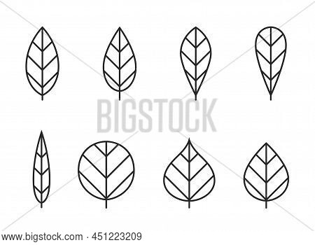 Leaf Line Icon Set. Eco, Botanical, Nature And Environment Symbols