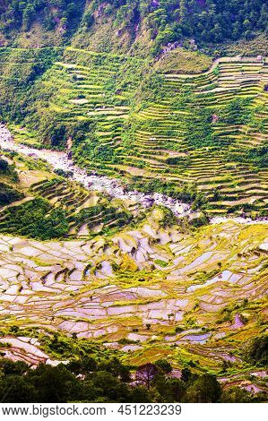 Beautiful Rice Terraces Fields In Sagada, Philippines