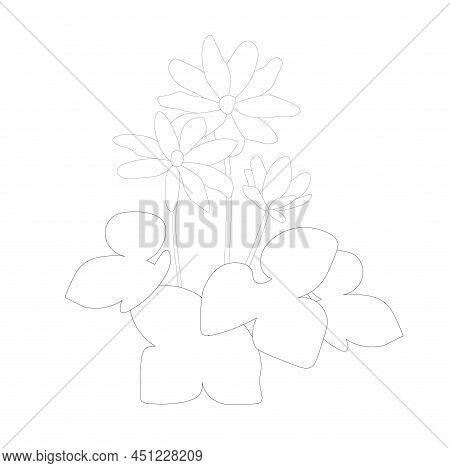 Common Hepatica Outline Monochrome Stock Vector Illustration For Web, For Print, For Coloring Book