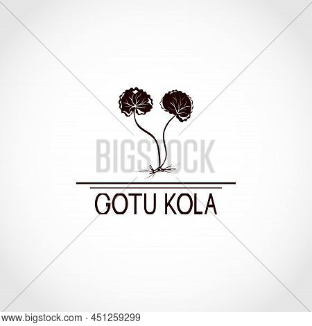 Gotu Kola Grass. Centella Asiatica. Logo, Icon, Emblem.