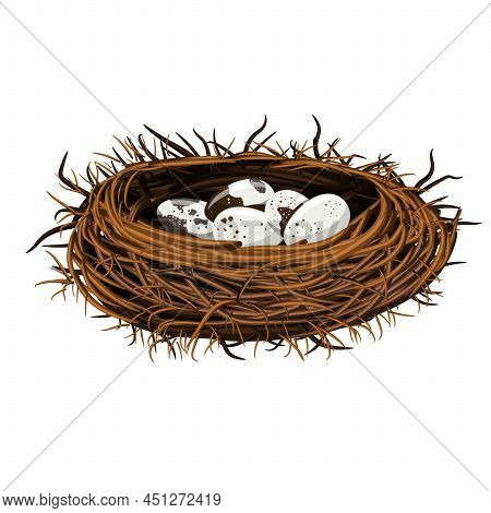 Vector Image Of A Bird's Nest With Eggs. Eps 10
