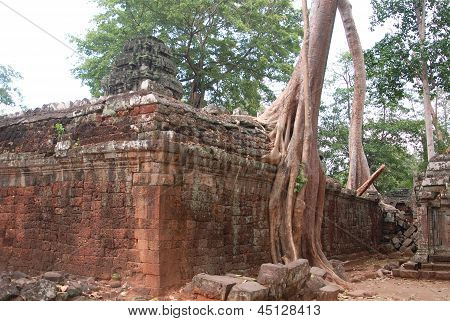 Tempio di Ta Prohm
