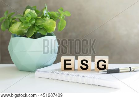 Esg Word Made From Wooden Cubes On Gray Background, Esg - Short For Environmental Social Governance