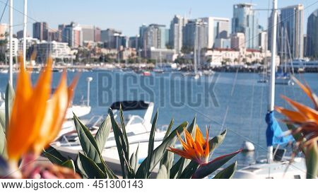 Yachts In Marina And Downtown City Skyline, San Diego Cityscape, California Coast, Usa. Highrise Sky