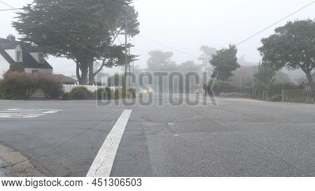 Typical Generic Suburban Residential District Street, Detached Houses Homes, Foggy Misty Road, Monte