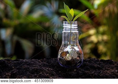 Money Saving Economy Environment.  Plants Growing In Money Coins In Glass Jar For Investment Plannin