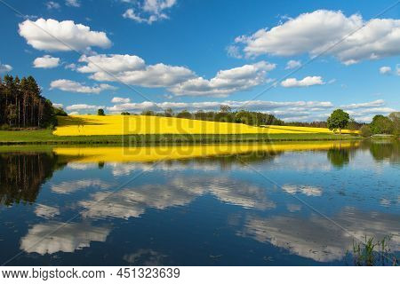 Field Of Rapeseed, Canola Or Colza In Latin Brassica Napus, Rape Seed Is Plant For Green Energy And 