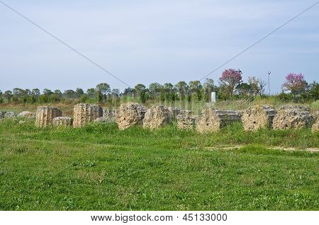 Parco archeologico. Metaponto. Basilicata. Italia.
