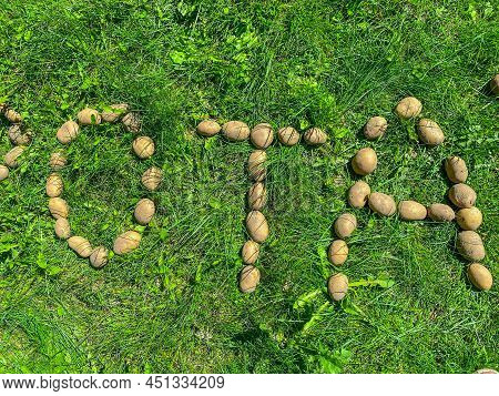 Peeled Potatoes Lie On The Grass. Letter O, T And A From Cartovel, Edible Letters On The Lawn. Sylla