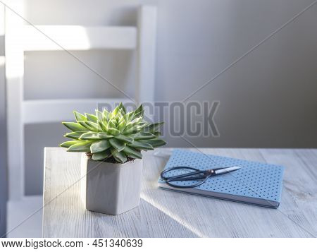 Echeveria In A Beautiful Ceramic Pot On A Beige Table Next To A White Spring Notepad In The Kitchen 