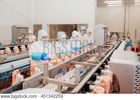 Meat Processing Plant.people Working At A Chicken Factory - Stock Photo.automated Production Line In