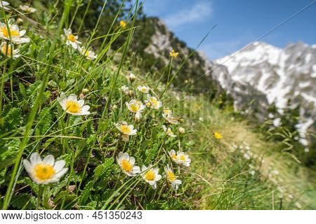 Majestic view of the Accursed or Prokletije Mountains near Theth village, Albania. Beautiful summer landscape of the Albanian Alps in Northern Albania.