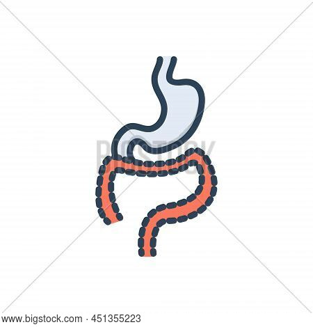 Color Illustration Icon For Tract System Digestive Intestine Organ Stomach Gastro Anatomy