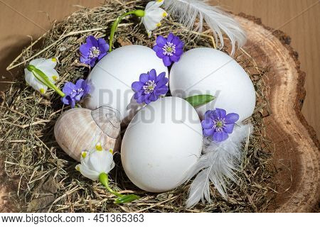 Easter Decor In A Natural Style. The Eggshell Is Decorated With Flowers And Leaves. The Composition 