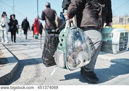 Ukrainians Do Not Leave Their Animals.ukrainian Migrants With A Dog From The Affected Areas Of Ukrai