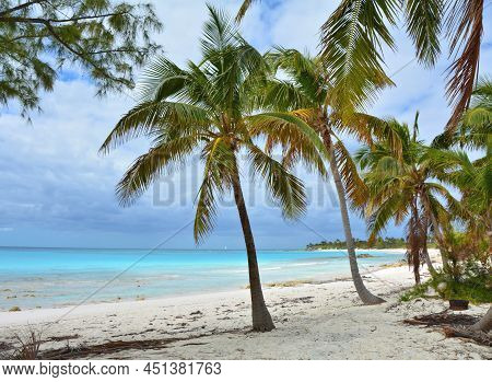 Paradise Beach On Eleuthera Island, Bahamas. Palm Trees At The Bahama Beach.