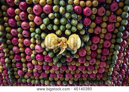 Fedakar Sukkot