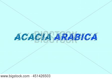Acacia Arabica Medicinal Element Typography Text Vector Design. Medical Science Conceptual Poster, B