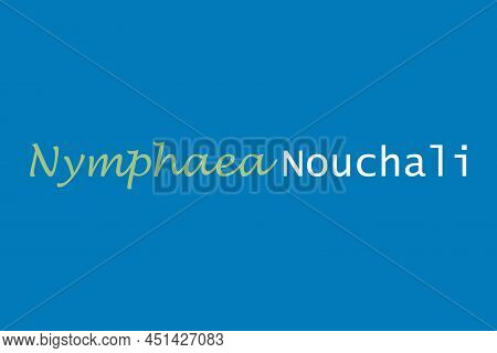Nymphaea Nouchali Medicinal Element Typography Text Vector Design. Medical Science Conceptual Poster