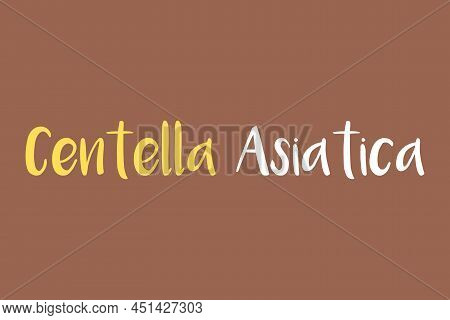 Centella Asiatica Medicinal Element Typography Text Vector Design. Medical Science Conceptual Poster