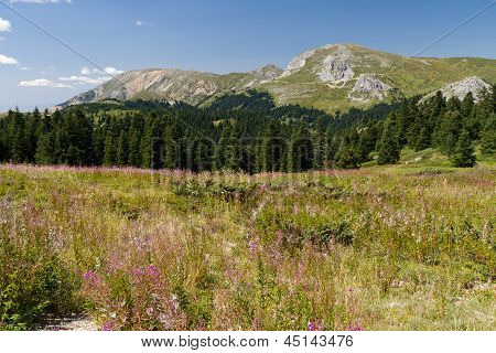 ภูเขา Ilgaz, Kastamonu ตุรกี